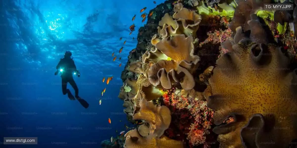 🎯球迷专属,正品周边一键直达!👕